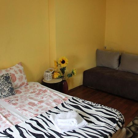 סופיה Vitoshka Biggest Apartment מראה חיצוני תמונה